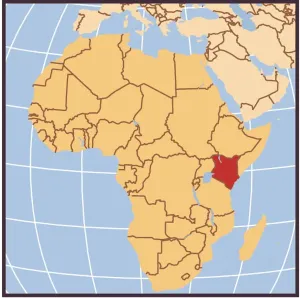 Africa Country Maps Drucke: Democratic Republic of the Congo locator map