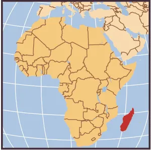 Demokratische Republik Kongo - Ortskarte