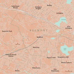 Massachusetts County Map Drucke: MA Middlesex Belmont Vector Road Map