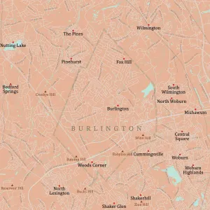 Massachusetts County Map Drucke: MA Middlesex Burlington Vector Road Map