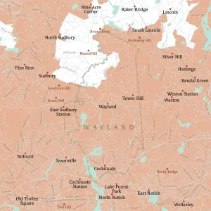 Vector City Maps USA Drucke: MA Middlesex Wayland Vector Road Map