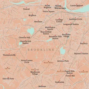 Vector City Maps USA Drucke: MA Norfolk Brookline Vector Road Map
