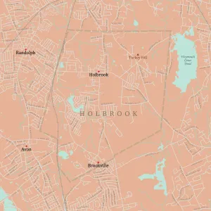 Digital City Maps USA Drucke: MA Norfolk Holbrook Vector Road Map