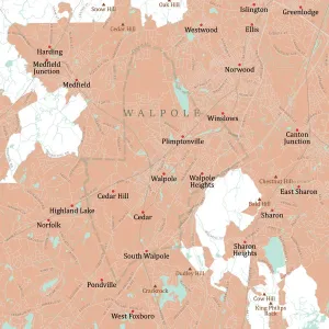 Vector City Maps USA Drucke: MA Norfolk Walpole Vector Road Map