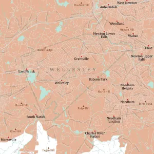 Massachusetts Vector Map Drucke: MA Norfolk Wellesley Vector Road Map