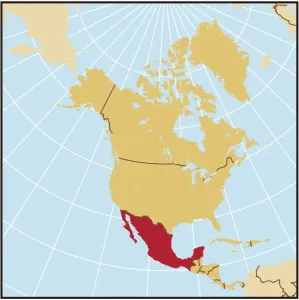 Mexiko-Referenzkarte