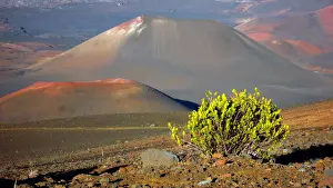 Mars und Erd