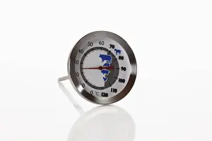 Kitchen Appliance Drucke: Meat thermometer