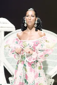 Iconic Female Singers Drucke: Cher Performing