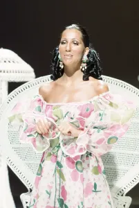 Iconic Female Singers Drucke: Cher Performing