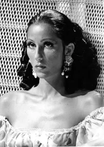 Retro Pop Culture Photos Drucke: Cher Performing