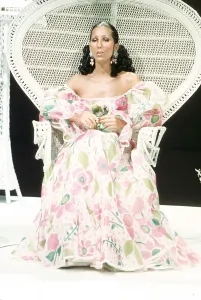 Famous Female Singers Drucke: Cher Performing