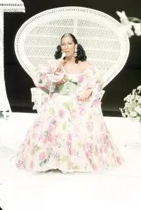 Iconic Female Singers Drucke: Cher Performing