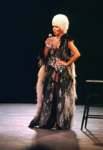 Famous Female Singers Drucke: Cher Performing