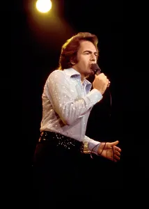 Singer Songwriter Style Drucke: Diamond Stud