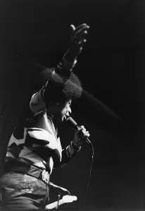 Rock And Roll Singer Drucke: Singer Performing