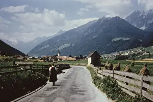 Austria Countryside Drucke: Mieders