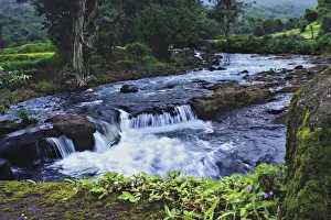Stream Flowing Water Images Drucke: Monsoon Magic