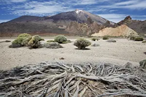 El Teide National Park Drucke: Mount Teide landscape