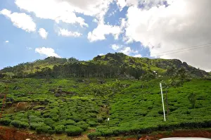 South India Tourism Drucke: Munnar
