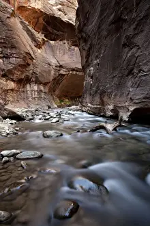 Zion National Park Photography Drucke: The Narrows, constriction of the Virgin River, Zion National Park, Utah, USA