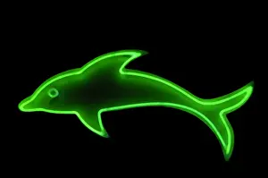Roter Delfin