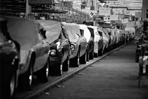 Coventry Drucke: Neue Jaguars Automobile