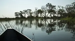 Okavango Delta Landscape Photos Drucke: The Okavango Delta