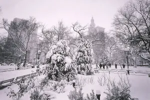 Der Park ist mit Schnee bedeckt