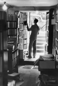 Vintage Book Collection Drucke: Avid Reader
