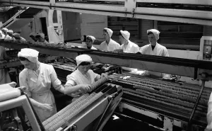 Female Workers In Factories Drucke: Bakery Workers
