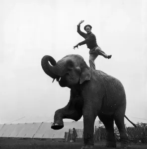 Black And White England Images Drucke: Balancing Act