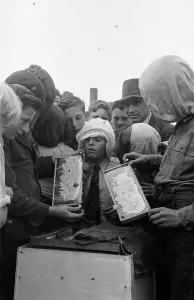 European Beekeeping Practices Drucke: Bee Keeper
