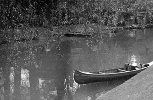 England River Views Drucke: Cambridge Backs