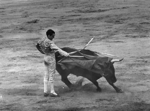 Bullfighting Spain Drucke: Carrida
