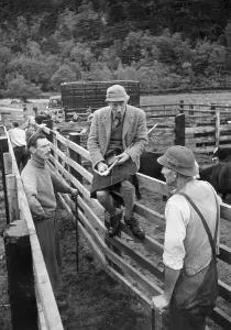 Scotland Highlands Drucke: Cattlemen