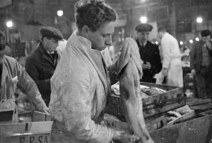 Fishing Industry In England Drucke: Checking The Cod
