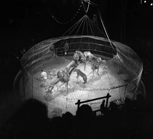 Blackpool Tower History Drucke: Circus Show