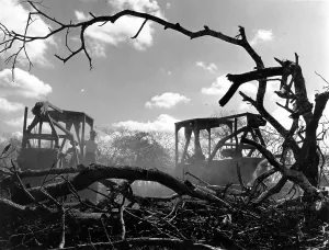 African Agricultural Landscape Drucke: Clearing Ground