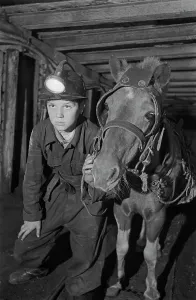 Historical Coal Mining Images Drucke: Coal Mining
