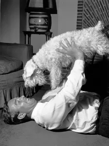 Black And White Dog Pictures Drucke: Compton And His Dog