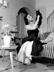 British Film Actresses Drucke: Constance Smith
