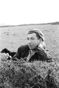 Rural England Scenes Drucke: Cornish Farmer