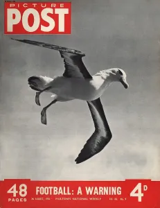 Vintage Bird Images Drucke: On The Wing