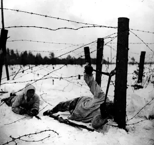 Black And White Army Photos Drucke: Cutting The Wire