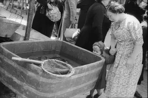 European Fishing Industry Drucke: Fish Pool