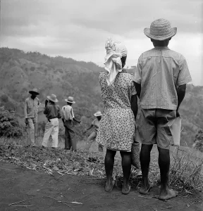 Caribbean Island Life Drucke: What Is Going On ?