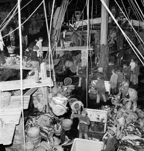 Fishing Industry In England Drucke: Grimsby Docks