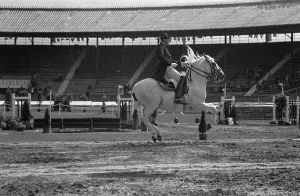 Horse Riding In England Drucke: Above The Ground