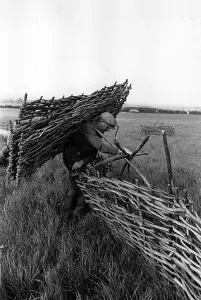 England Countryside Scene Drucke: Heavy Load